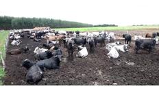 Go to Food Governance with duration: 9 minutes, 16 seconds