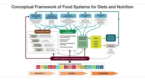 Thumbnail for Theory: The Mediterranean Approach to Food Systems
