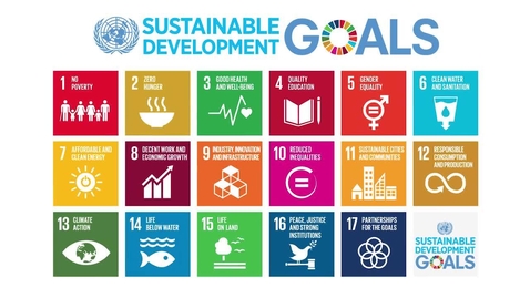Thumbnail for The Quest for Sustainable Development