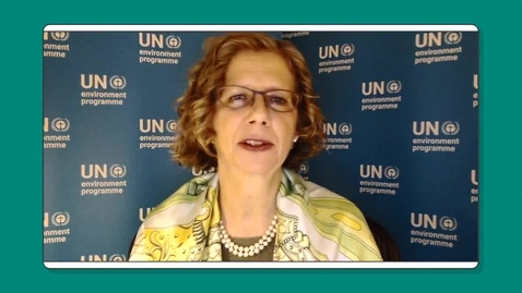 Thumbnail for entry Interview with Inger Andersen, UNEP