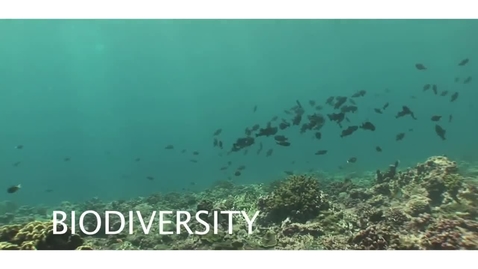 Thumbnail for Synthesis and Progress on Planetary Boundaries