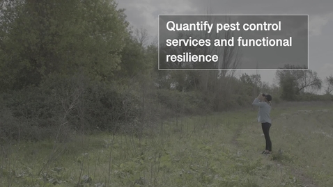 Thumbnail for Tree for the three: birds, landscape and ecosystem services