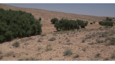 Thumbnail for Land and water degradation: Successful case studies in the Mediterranean