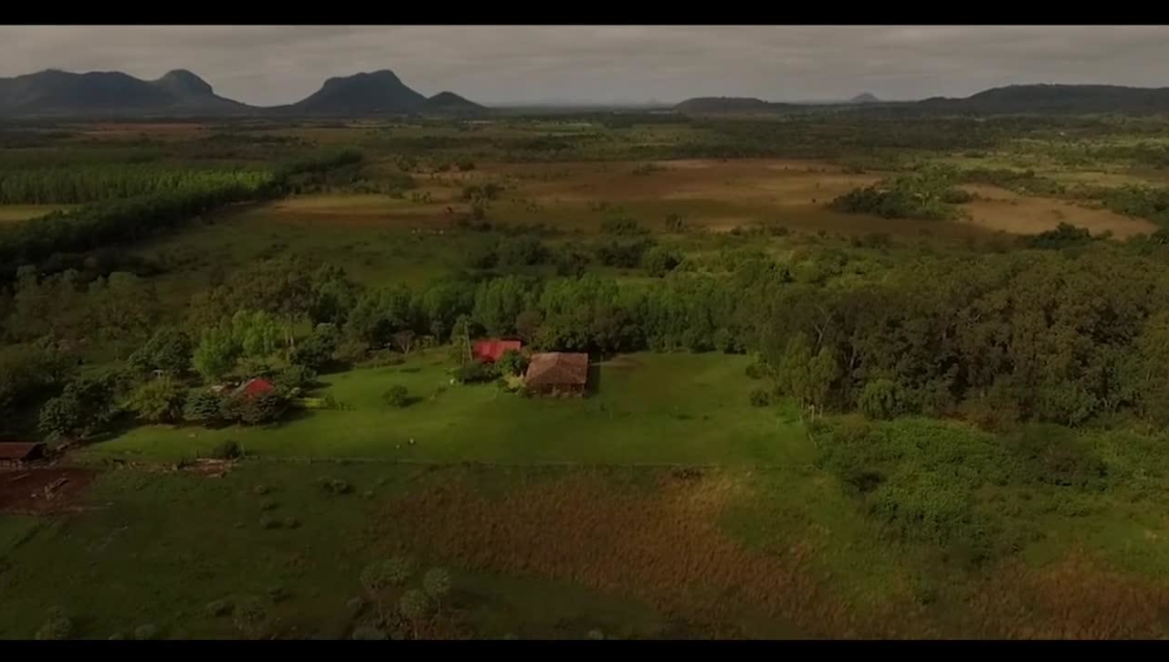 The Three Big Challenges: Climate Change, Biodiversity, Pollution