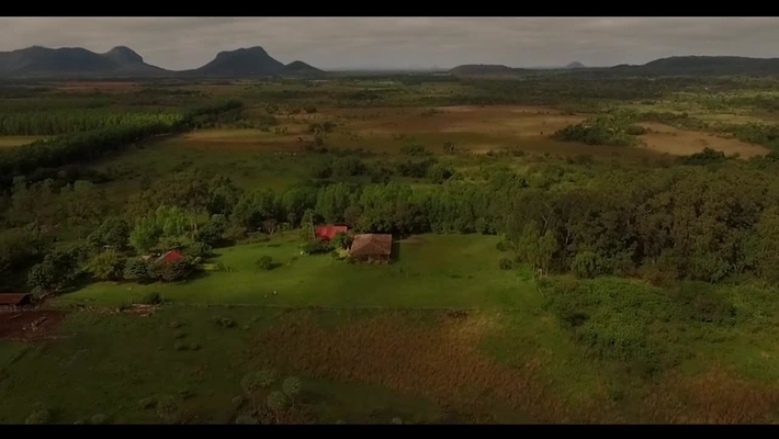 The Three Big Challenges: Climate Change, Biodiversity, Pollution