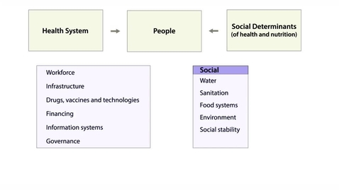 Thumbnail for entry Multiple Determinants of Health