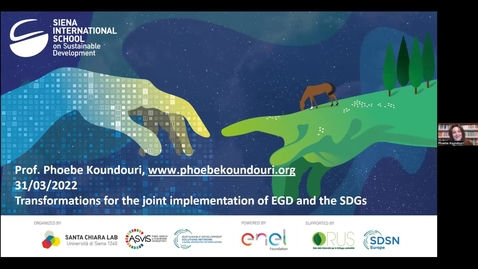 Thumbnail for entry Transformations for the Joint Implementation of the European Green Deal and the SDGs