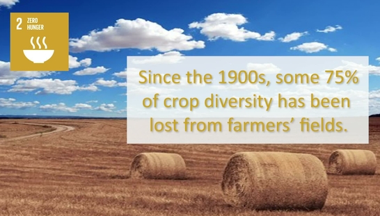 Introducing SDG 2: Zero hunger