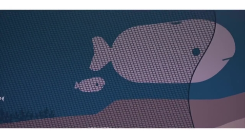 Thumbnail for Biodiversity Loss