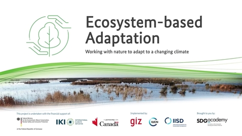 Thumbnail for Key takeaways: What is Ecosystem-based Adaptation?