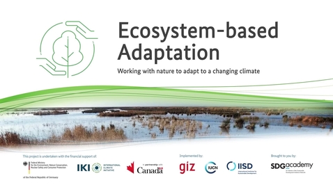 Thumbnail for entry Key takeaways: What is Ecosystem-based Adaptation?