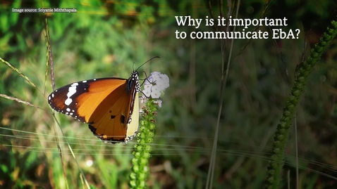 Thumbnail for EbA and Communication