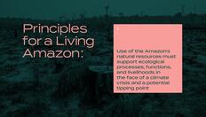 Go to Principles and Values for a Living Amazon with duration: 10 minutes, 25 seconds