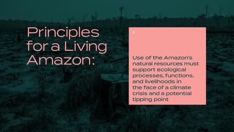 Thumbnail for Principles and Values for a Living Amazon