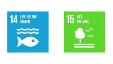 Go to Scale and Scope of the SDGs with duration: 9 minutes, 38 seconds