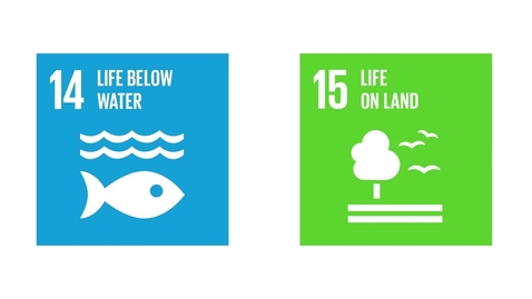 Thumbnail for entry Scale and Scope of the SDGs