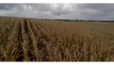 Go to Nutrient Management with duration: 11 minutes, 32 seconds