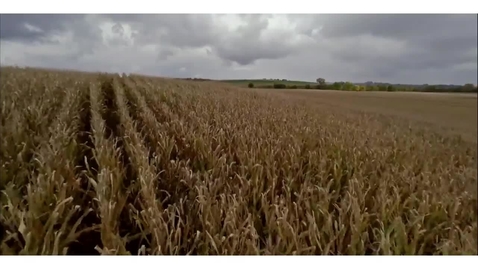 Thumbnail for Nutrient Management