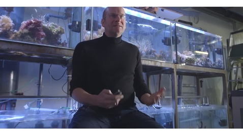 Thumbnail for Ecosystem and Nutrient Management