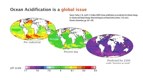 Thumbnail for entry Ocean Acidification