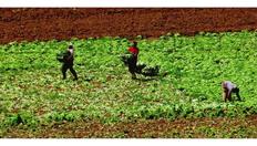 Go to Climate challenges at Mediterranean level with duration: 8 minutes, 10 seconds