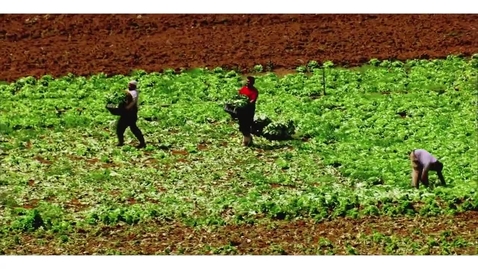 Thumbnail for Climate challenges at Mediterranean level