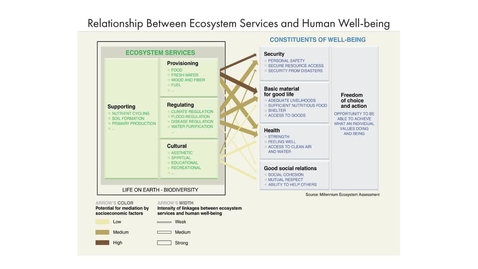Thumbnail for entry Valuing Ecosystem Services