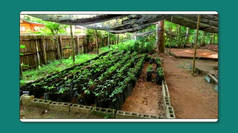 Thumbnail for Nature-based Solutions Nuts &amp; Bolts