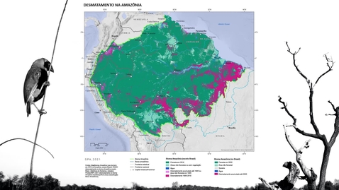 Thumbnail for Why is it urgent to protect the Amazon?
