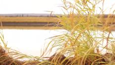Go to Nature-based Solutions: Resilience with duration: 11 minutes, 11 seconds