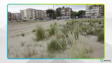 Thumbnail for Sand Dune Restoration and Coastal Erosion