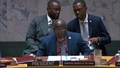 Maintenance of peace and security of Ukraine - Security Council, 10191st meeting
