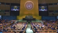 (17th meeting) Review Conference of the Parties to the Treaty on the Non-Proliferation of Nuclear Weapons (NPT)