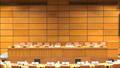 CCPCJ35: Pre-session consultations – 29 May 2026