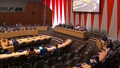 Economic and Social Council: 25th plenary meeting, 2026 Management Segment