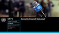 Security Council Media Stakeout