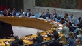 The situation in Bosnia and Herzegovina - Security Council, 10150th meeting