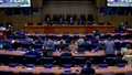 (5th meeting) UN Forum on Forests, 21st session (UNFF21)