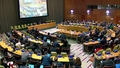 10th Plenary meeting - Review Conference of the Parties to the Treaty on the Non-Proliferation of Nuclear Weapons (NPT)