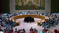 Maintenance of peace and security of Ukraine - Security Council, 10152nd meeting