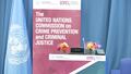 CCPCJ35: Meeting 3 – 2 June 2026