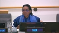 (5th plenary meeting) Special Committee on Decolonization (C-24) - 2026 session