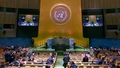 General Assembly: 104th Plenary meeting, 80th session