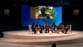 UN-Habitat Arena - Land Governance and Land-Based Solutions for Housing (WUF13)