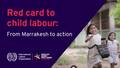 Red Card to Child Labour: From Marrakesh to action (recording)