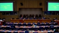 From Commitment to Action: Scaling Sustainable Forest Management – Halting Degradation and Deforestation (UNFF21 Side Event)