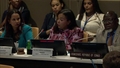 Assessment of the Normative Gap Regarding Natural Resources and Peace: Foundations and prospects - Security Council, Arria Formula Meeting