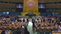 (16th meeting) Review Conference of the Parties to the Treaty on the Non-Proliferation of Nuclear Weapons (NPT)