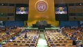General Assembly: 109th Plenary meeting, 80th session