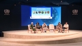 UN - Habitat Arena - From Policy to Impact: Scaling Housing Delivery (WUF13)